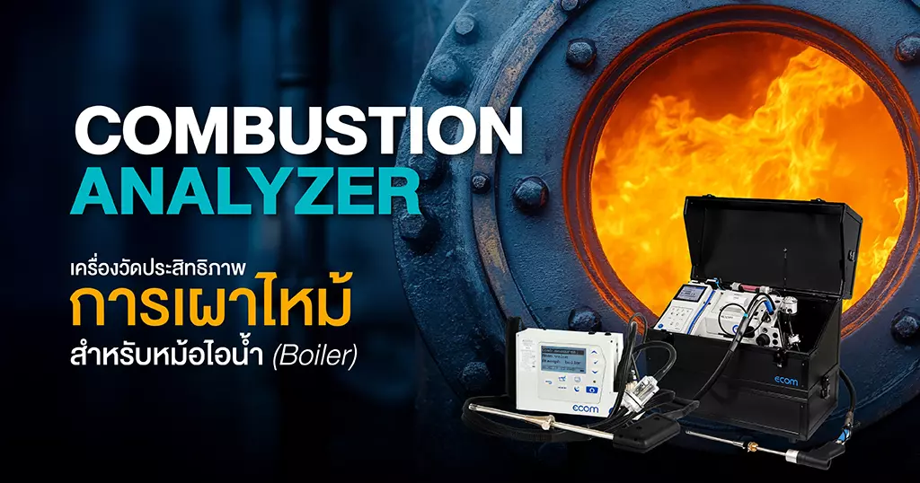 การเผาไหม้สำหรับหม้อไอน้ำ boiler